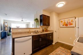 Johnston apartment for rent - a kitchen with a sink and a dishwasher