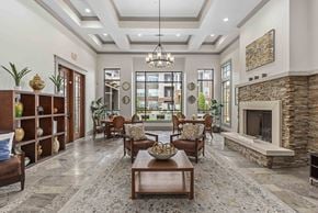 Austin apartment for rent - A living room with a stone fireplace and a large rug.