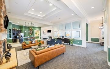 Austin apartment for rent - A living room with a brown couch and a fireplace.