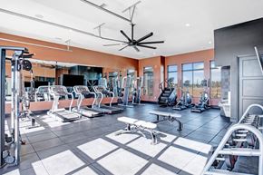 Mcdonough apartment for rent - a gym with a lot of workout equipment and windows