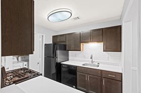 Duluth apartment for rent - Kitchen