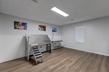 Pet spa