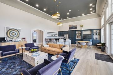 Augusta apartment for rent - A modern living room with a blue carpet and furniture.