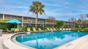 Largo apartment for rent - A swimming pool surrounded by chairs and a palm tree.