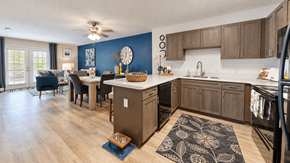 Myrtle Beach apartment for rent - Kitchen with gray cabinets, black appliances and an adjoining furnished living area at Canterbury Apartments in Myrtle Beach, SC.