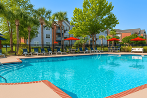 Myrtle Beach apartment for rent - A large swimming pool surrounded by trees and chairs.