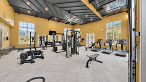 Cartersville apartment for rent - Fitness center with strength machines, free weights and treadmills at The View on Canton in Cartersville, GA.