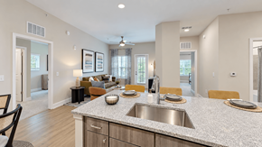 Cartersville apartment for rent - Kitchen island with stainless steel sink overlooking a furnished living room at The View on Canton in Cartersville, GA.