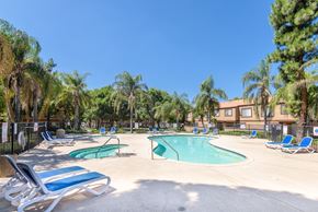 Fontana apartment for rent - our apartments have a large pool with chairs and palm trees
