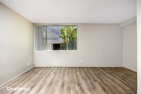 Venice apartment for rent - A room with wooden flooring and a window showing trees outside.