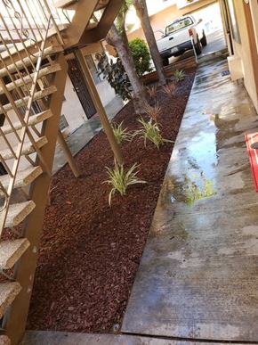 Whittier apartment for rent - a building with stairs and plants next to a sidewalk