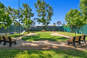 Dog park