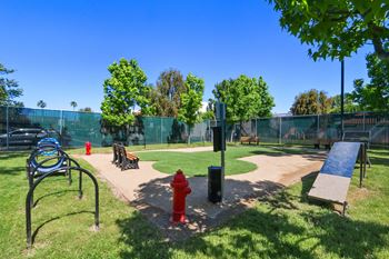 Dog park