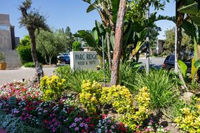 Northridge apartment for rent - a park ridge sign in a garden of flowers