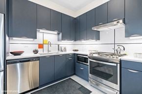 Chicago apartment for rent - a modern kitchen with blue cabinets and stainless steel appliances