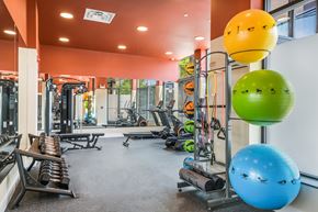Chicago apartment for rent - A gym with a variety of equipment including a blue exercise ball with bird decals.
