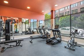 Chicago apartment for rent - A gym with a variety of equipment including treadmills, stationary bikes, and weight machines.