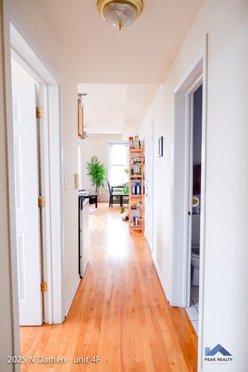 Chicago apartment for rent - A hallway with a plant and a bookshelf.