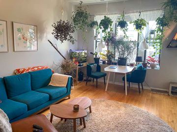 Chicago apartment for rent - A living room with a blue couch and a table with a candle on it.