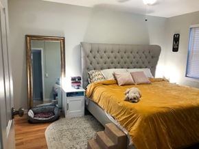 Chicago apartment for rent - A bedroom with a bed, a mirror, and a dog.