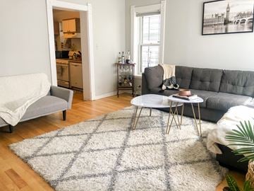 Chicago apartment for rent - A grey couch sits in a living room with a white rug in front of it.