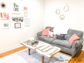 Chicago apartment for rent - a living room with a couch and a coffee table    and a wall