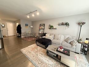 Chicago apartment for rent - A living room with a grey couch and a rug.