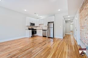 Chicago apartment for rent - newly remodeled