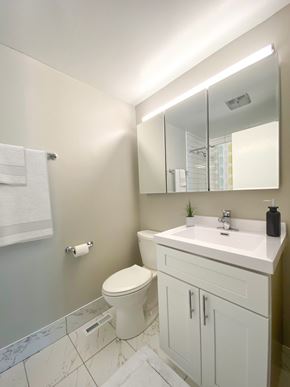 Chicago apartment for rent - A white toilet sits next to a sink in a bathroom.