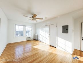 Evanston apartment for rent - hardwood floors studio kitchen evanston northwestern university