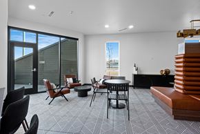 Denver apartment for rent - A modern living room with a black and white patterned carpet.