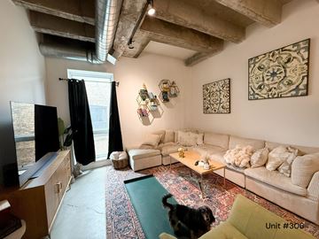 Chicago apartment for rent - A dog is looking at a living room with a rug on the floor.