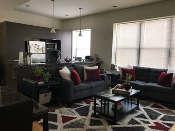 Chicago apartment for rent - A modern living room with a black couch and a black coffee table.