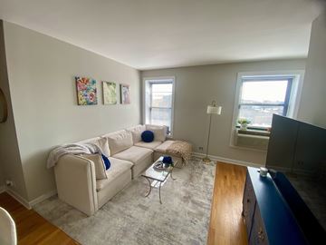 Chicago apartment for rent - A living room with a white couch and a grey rug.