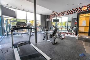 Chicago apartment for rent - the gym at the condo is pictured