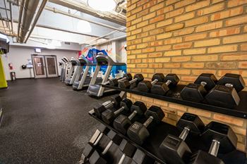 Free weights