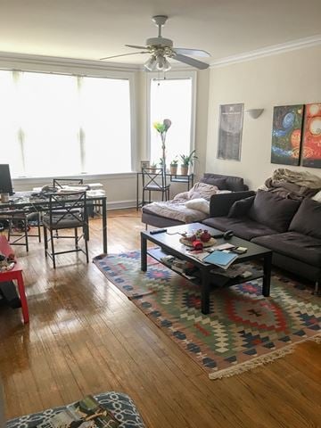 Evanston apartment for rent - A living room with a brown couch and a rug.