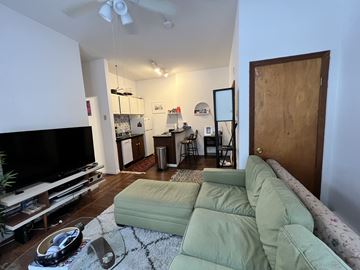 Chicago apartment for rent - A living room with a green couch and a television.