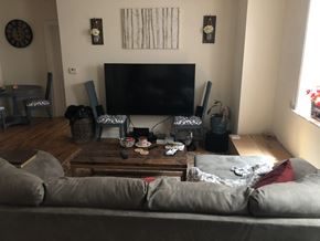Chicago apartment for rent - A living room with a grey couch and a black television.