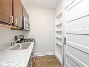 Chicago apartment for rent - a kitchen with a sink and a white door