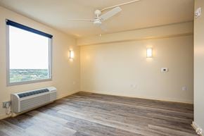 New Orleans apartment for rent - a living room with wood floors and a window and a ceiling fan