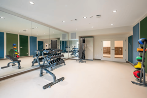 Baton Rouge apartment for rent - A gym with a mirrored wall and a variety of equipment.