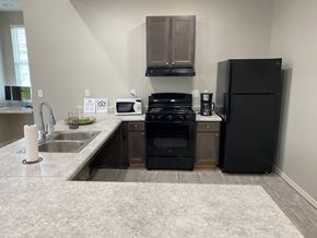 Bastrop apartment for rent - a kitchen with black appliances and a sink and a refrigerator