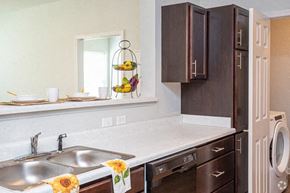 Baton Rouge apartment for rent - a kitchen with a sink and a refrigerator