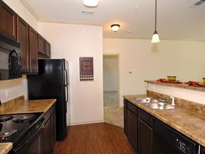 Covington apartment for rent - a kitchen with a black refrigerator and a sink