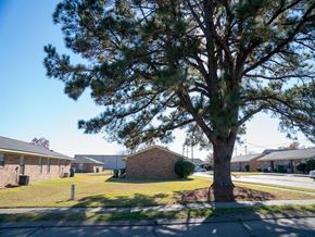 Monroe apartment for rent - a tree in a yard in front of a brick building