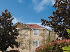 Mccomb apartment for rent - a yellow house with a tree in front of it
