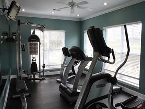 Mccomb apartment for rent - the gym has plenty of equipment for everyone to use