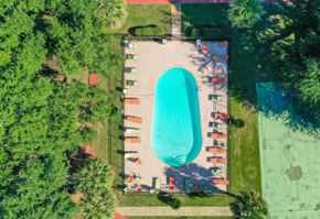 Natchitoches apartment for rent - An aerial view of a swimming pool surrounded by trees and lounge chairs.