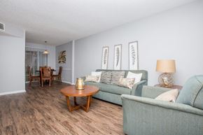 Baton Rouge apartment for rent - a living room and dining room with couches and a table